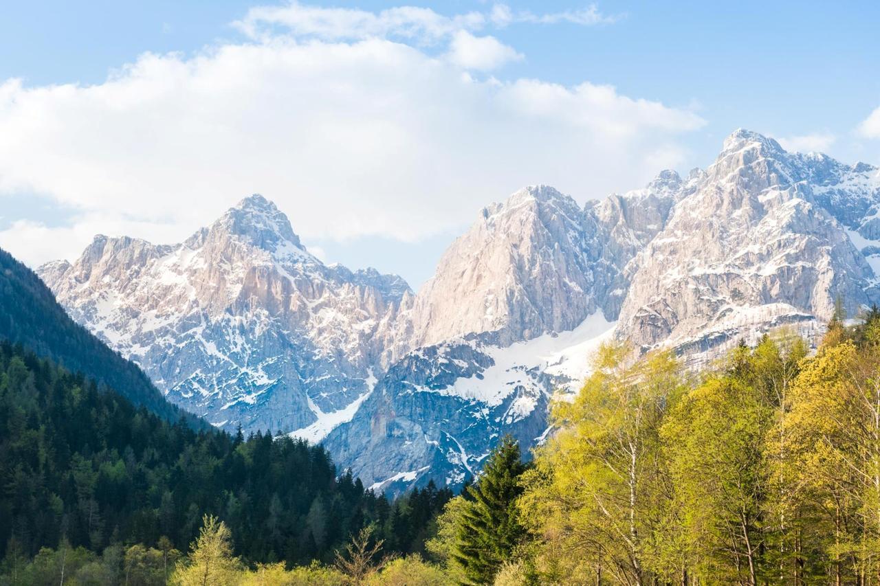 Villa Planina Kranjska Gora Bagian luar foto